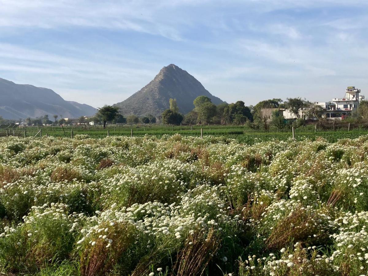 Hotel The Pushkar Flower المظهر الخارجي الصورة