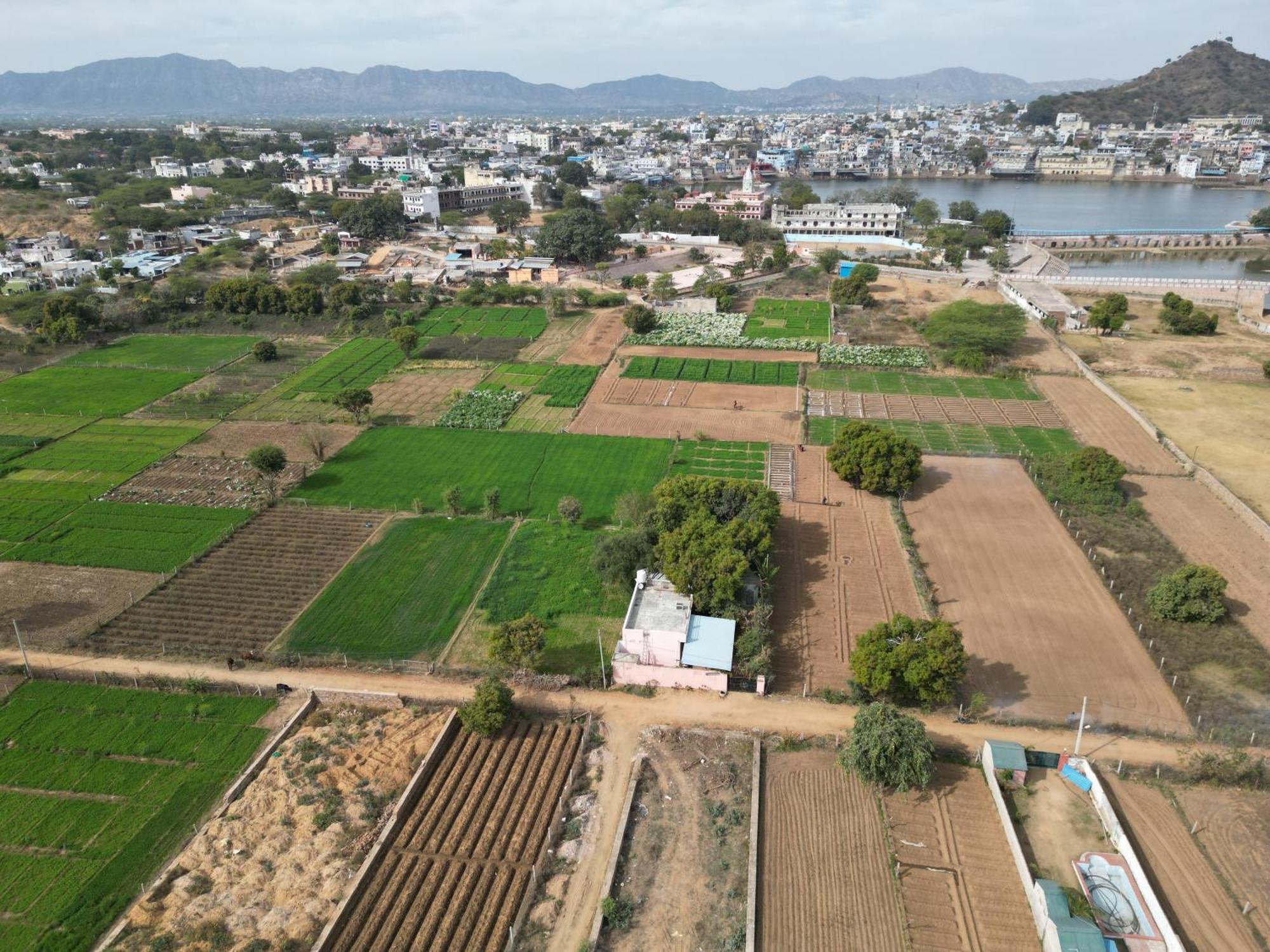 Hotel The Pushkar Flower المظهر الخارجي الصورة